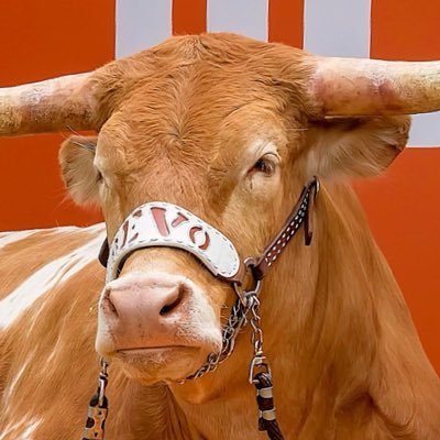 hookemhess's profile picture. 