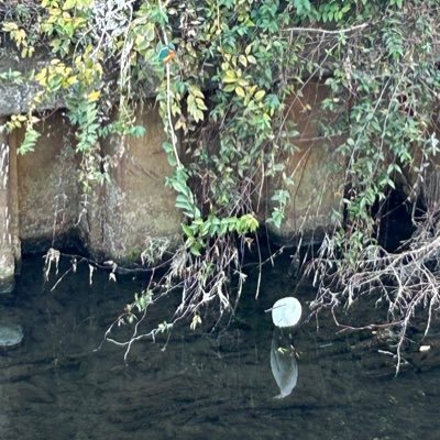 LjwJh5ts5T10289's profile picture. 