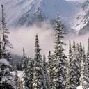 Greg Wunderlich - @GregWunder - Twitter