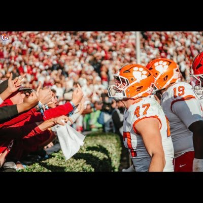 cutigers52's profile picture. No risk-it, no biscuit