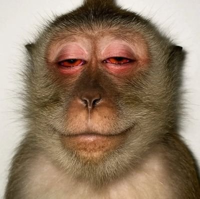 Jonatha64241008's profile picture. 