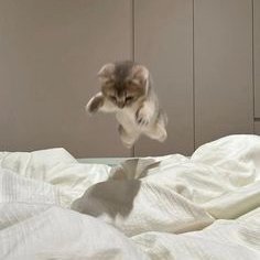 joewong__'s profile picture. #Kaspa maxi, follow me