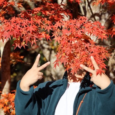 tappunn's profile picture. （有）/ 📷→https://t.co/1til9yc8E9 / 🏸https://t.co/sXagTqOZHn、@duckbill_osaka