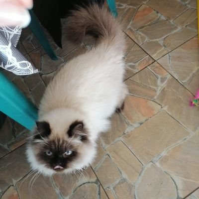 Daniel23755539's profile picture. 