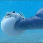 ExplorerSu64369's profile picture. 🚀 Adamlık raconda saklıdır 🕶️