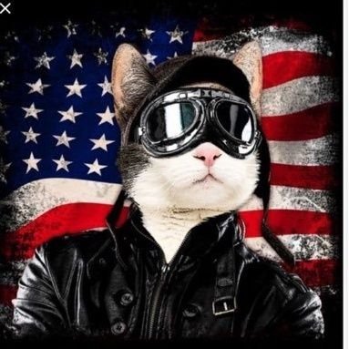 The_Americat4's profile picture. Support all American Workers, or you're a traitor| Proud Jew ✡️ & Zionist 🇮🇱| BUT ALWAYS AMERICA FIRST 🇺🇲| 
Recovery account for The_Americat3.