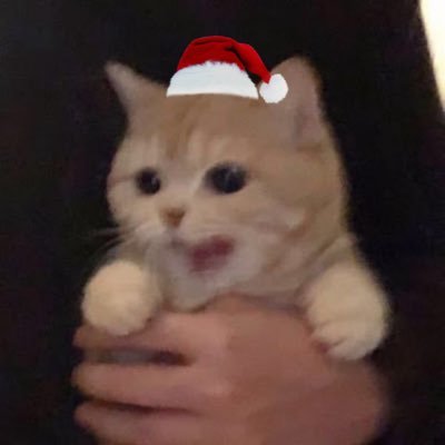 mykaitom's profile picture. 