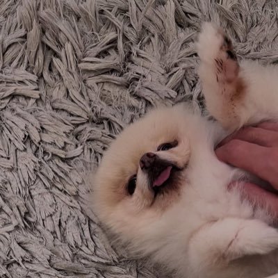 取引