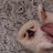 s_s21573096's profile image