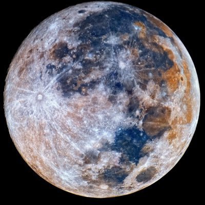 divotdame2's profile picture. Can a mock God