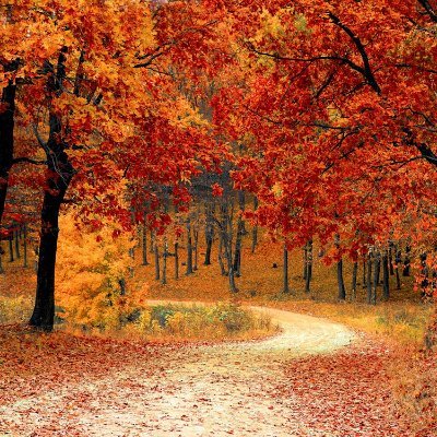 dome0904's profile picture. 