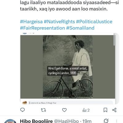 HagiHibo's profile picture. 