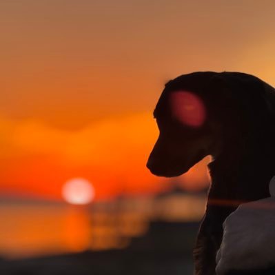 bobthebugguy's profile picture. Texan, Independent Thinker,Husband, Father, Business Leader, Investor, Fantasy Football Stud