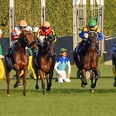 SportsCh4tter's profile picture. 