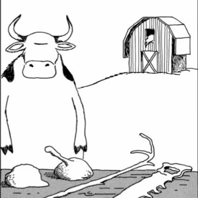 Viktor32633516's profile picture. 2x State-Champ of Yakubian Tricknology