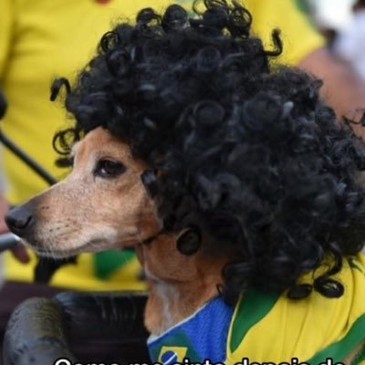 matildiinha's profile picture. 