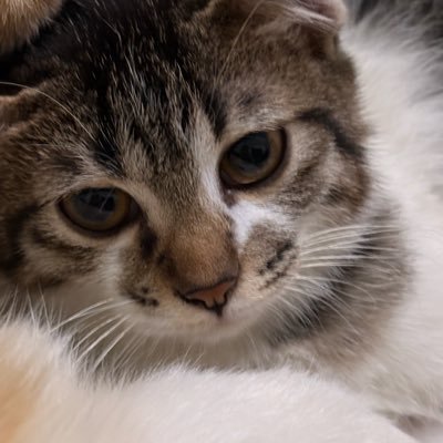 AmamSwd27's profile picture. 