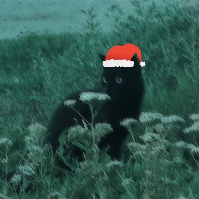 etriclearns's profile picture. learning to learn | the cycle turns evermore | like/acc