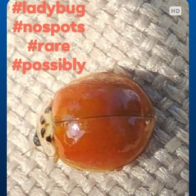 Sunyce17's profile picture. 