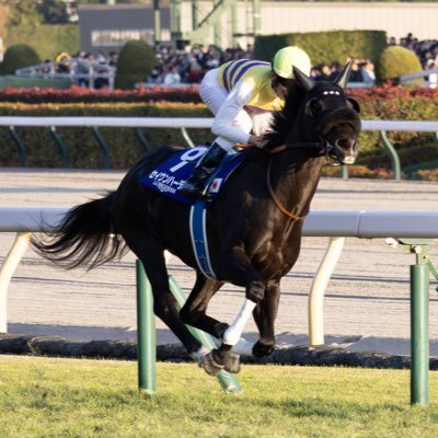 mush_vac's profile picture. 