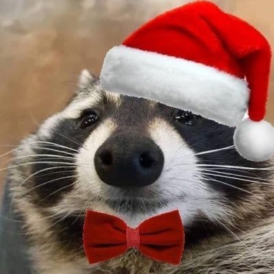 gardener_son's profile picture. 셰프가 요리하는 것보다 셰프로 요리하는 게 좋다면