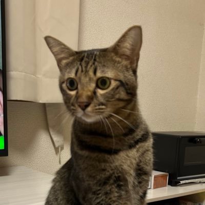 zrodAgdDojVk0F2's profile picture. 