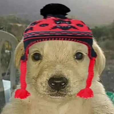 PXPIBONES's profile picture. 