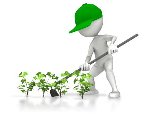 The Grass & Garden Guru * Residential Landscaping Specialist * DIY Wingman *