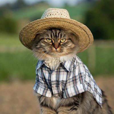 TonyHispanicCo1's profile picture. 🇺🇸🇮🇱
RIP Charlie Kirk 😔🇺🇸