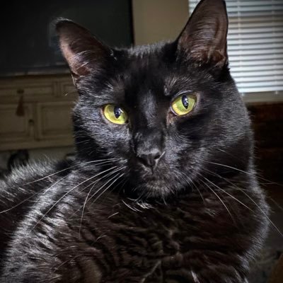 FreebirdT1987's profile picture. Bayou RN 🇺🇸USA1st🇺🇸 ✝️️ I only follow PATRIOTS. Here for politics & news. not here to shop. Not PC. ⛔️DMs. LOVE funny memes & humor.