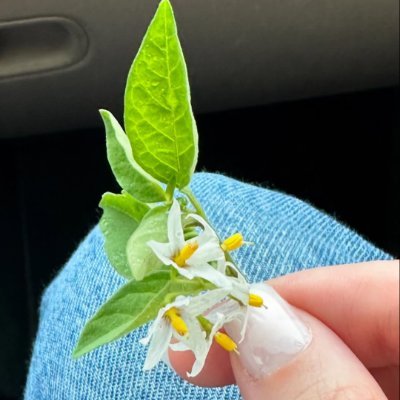 OliviaJonepdfd's profile picture. I love my God, my family, my country, jazz, the sea, and the rain. I love all animals and support Trump.    CNC golf club manufacturer