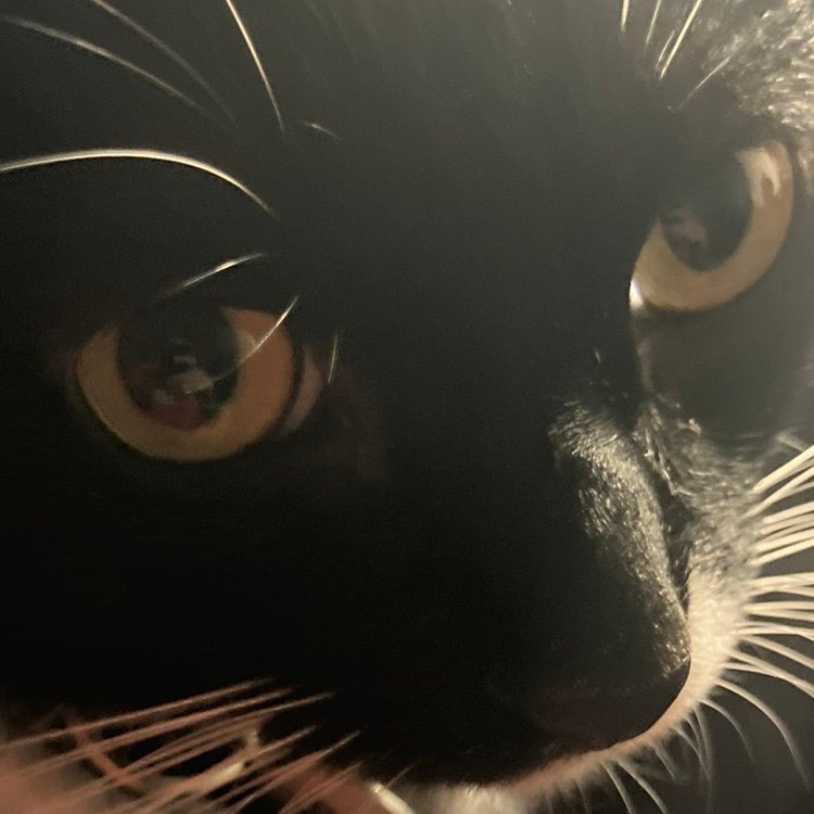 Radiouxju's profile picture. 