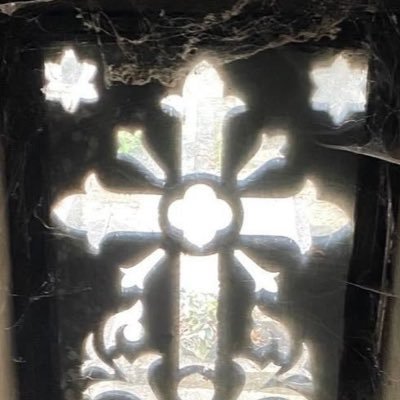 limbomami's profile picture. °❀⋆.ೃ࿔*:･˙𐃷˙