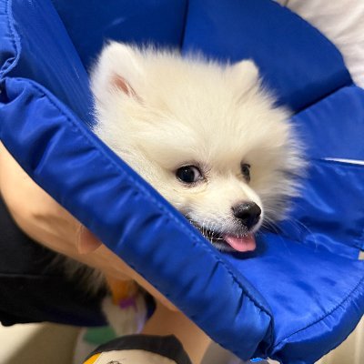 sammy_xl_au's profile picture. 