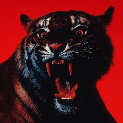 SwMando_'s profile picture. 🕸️