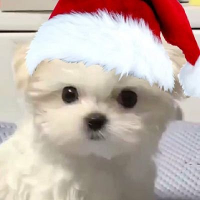 ryoaresocute's profile picture. 