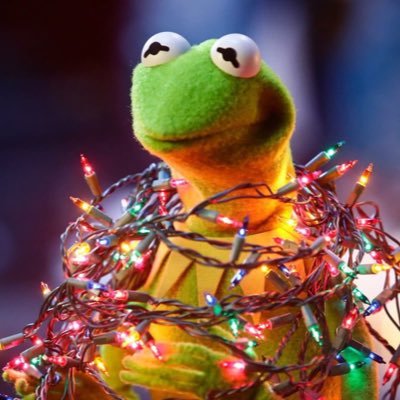 ppandaagg's profile picture. my blue hydrangea @documentofjan