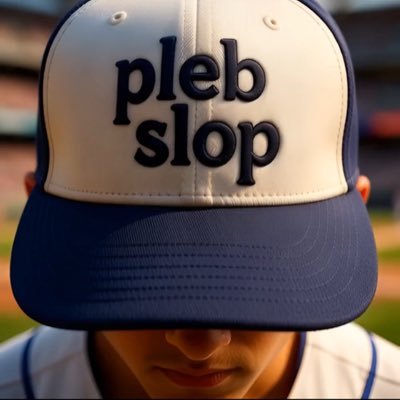 PlebSlopper's profile picture. Ca: 5p55e4RHbkd8CeSnANsLNjeA5LEz6PJ9LZZ3Ucuppump