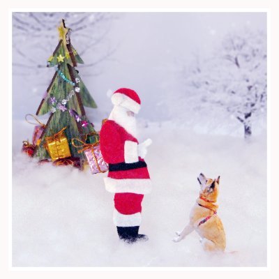 chakool2014's profile picture. 癒しと笑いの伝道師ちゃこさんです。2014年3月生まれかもしれない拾われっこ。 20kgの中型犬。 中の人の実家わんこから我が家の子になりました。My name is chako. I am a dog. I'm from a shelter.