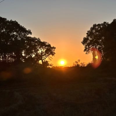 yngqng08768's profile picture. 