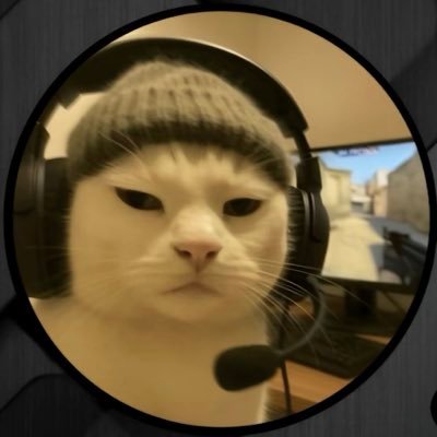 GoharAy90377064's profile picture. CS Grad. Building AI engine that turns trending questions into viral videos.