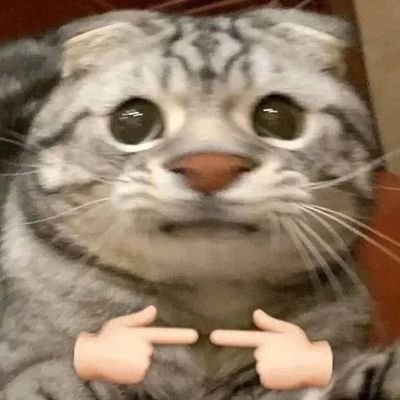 JinSouLSoRa's profile picture. 