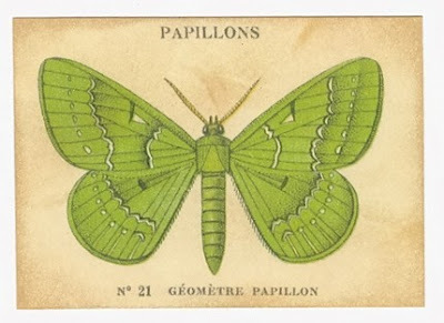 verdedejavu's profile picture. 