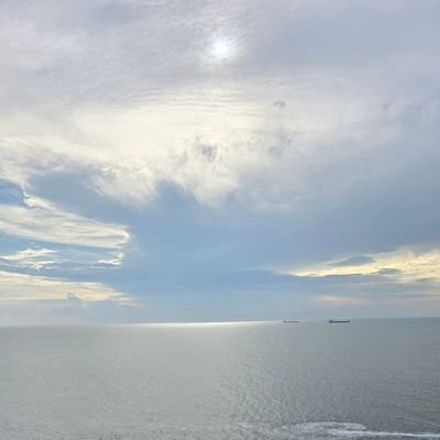 mrs_adr3's profile picture. SJSU 
En la adultescencia