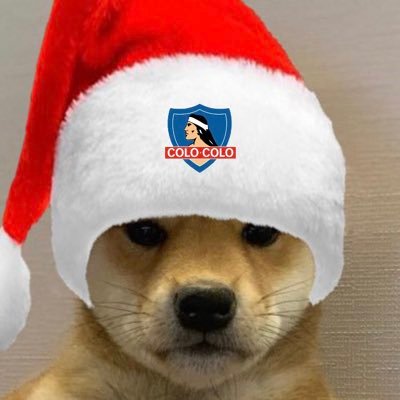 gbenja1925's profile picture. 𝐇𝐢𝐧𝐜𝐡𝐚 𝐝𝐞𝐥 𝐂𝐒𝐃 𝐂𝐨𝐥𝐨-𝐂𝐨𝐥𝐨 𝐲 𝐌𝐚𝐫𝐜𝐞𝐥𝐨 𝐁𝐚𝐫𝐭𝐢𝐜𝐜𝐢𝐨𝐭𝐭𝐨