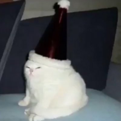 sav4nt_'s profile picture. longwinded degenerate gamer