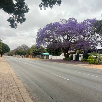 CryptKushy's profile picture. Football Crypto Arsenal $BTC $SOL GAWs 🧘‍♀️