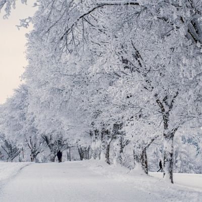 Recep2862212916's profile picture. Minimalist