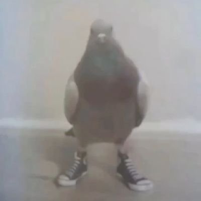 Vitinx_2004's profile picture. キリストの愛