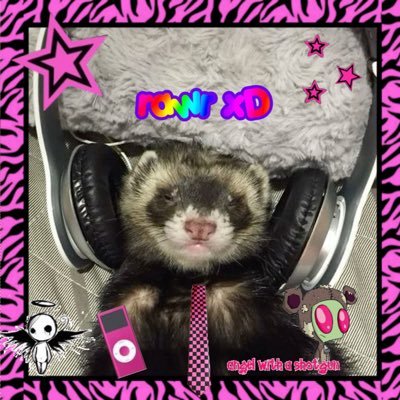 devileggos's profile picture. cw: lovable woman, bald ally, caffeine enjoyer, wood fanatic, puritanical agnostic, hopeless romantic, horror movie connoisseur, investigative journalist, 25